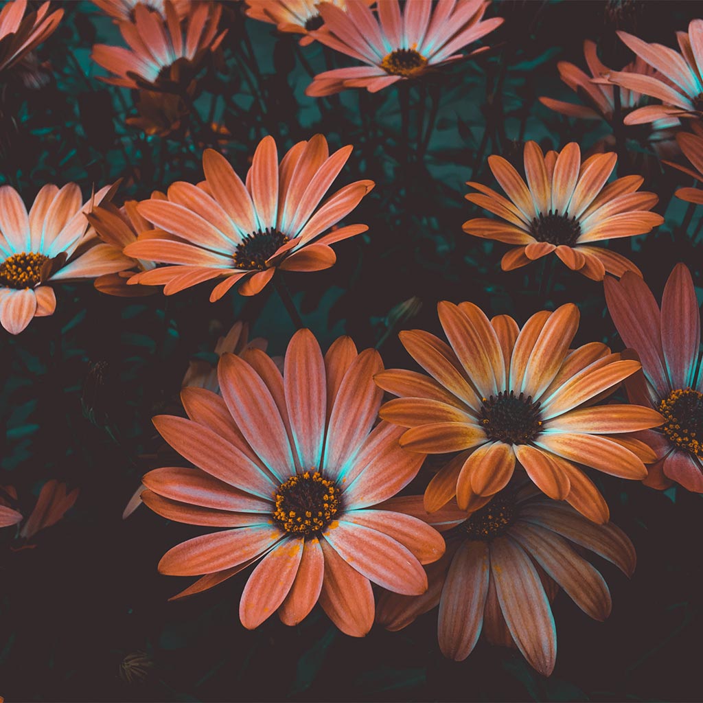 beauty-produkt-001-3