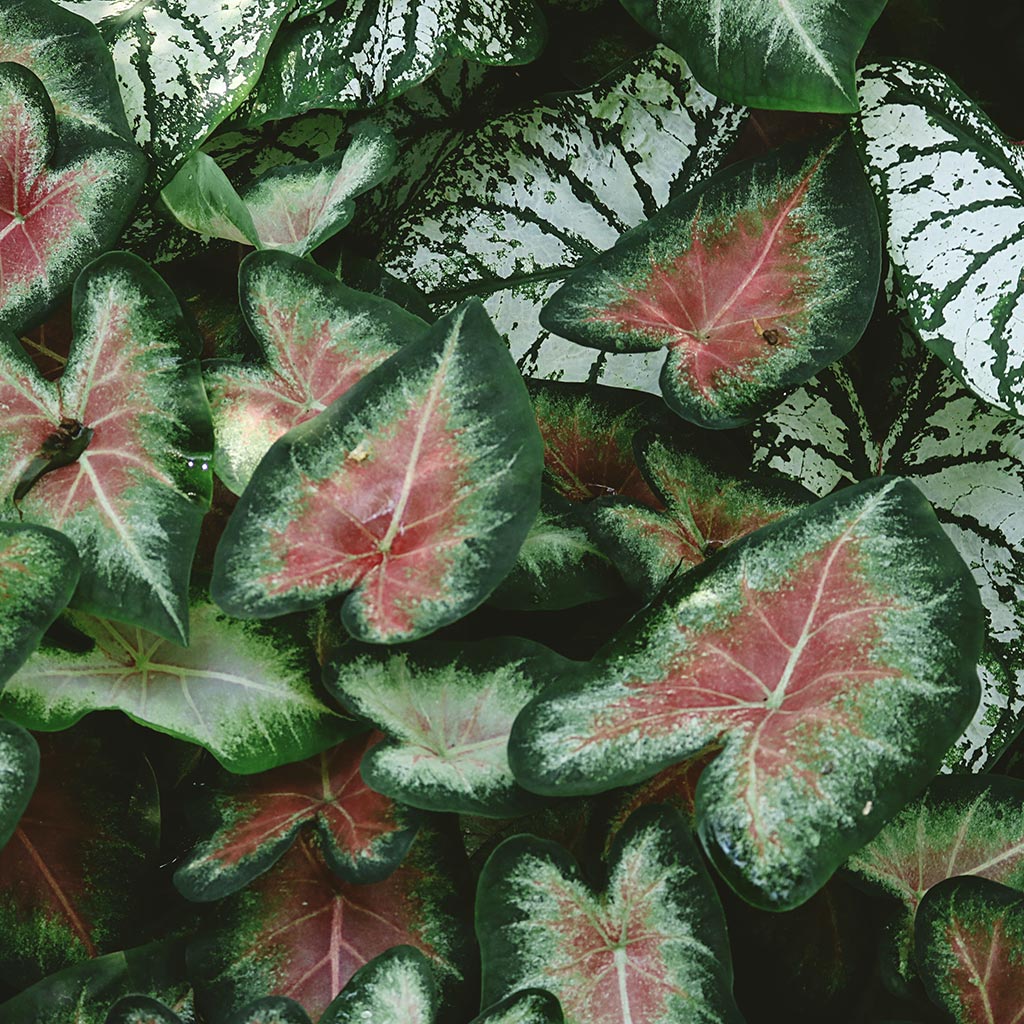 beauty-produkt-001-5