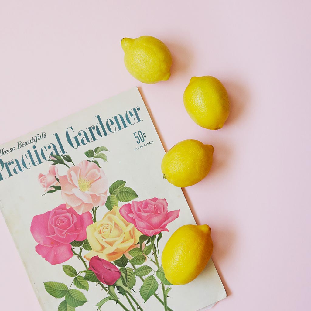 beauty-produkt-001-6